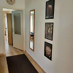 & * Eğri