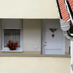 Daire & Eğri
